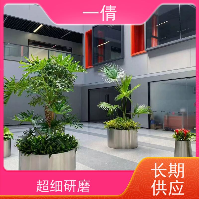 一倩花卉 深圳 红玉珠 绿植出售 全城配送 上门养护