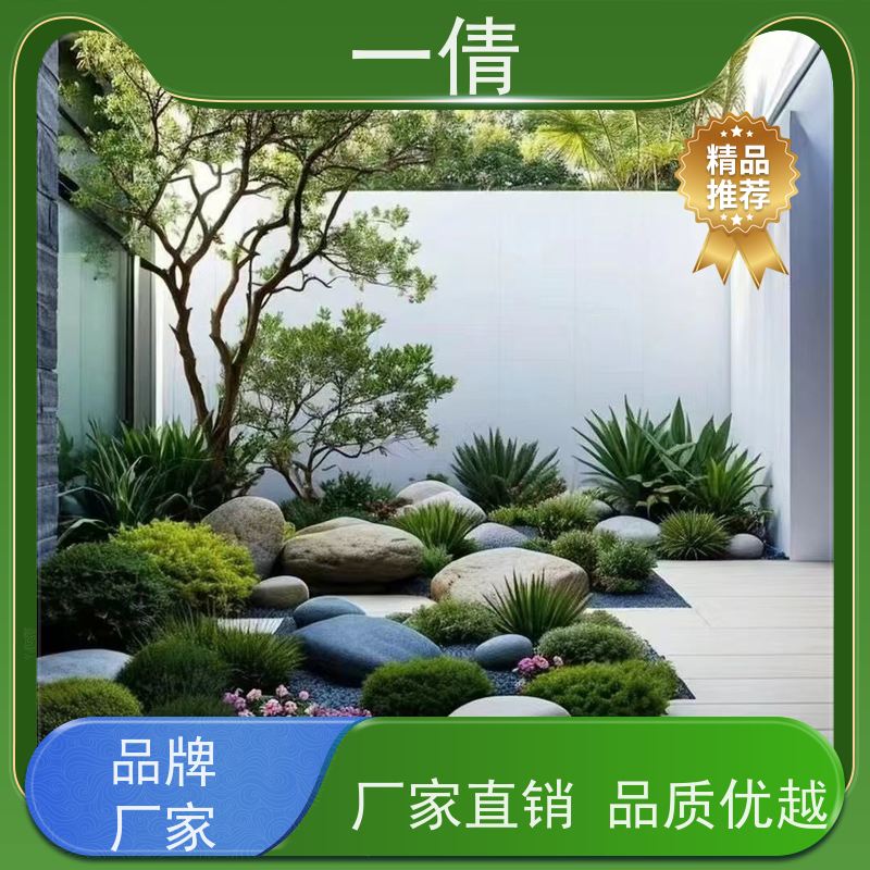 一倩花卉 深圳 青叶铁 花卉租赁 全城配送 上门养护
