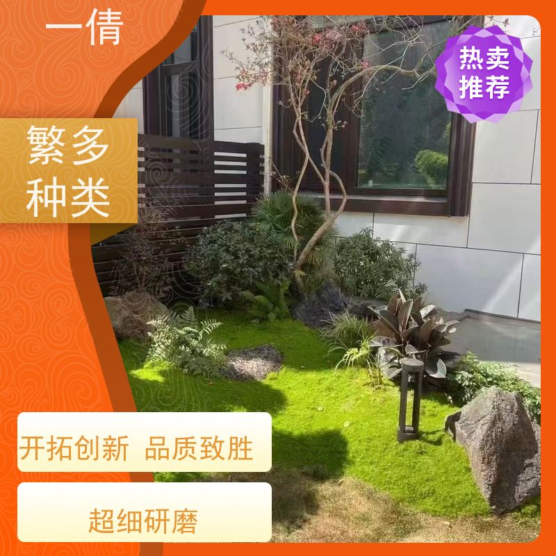 一倩花卉 室内 红蝴蝶兰 室内植物出租 全城配送 上门养护