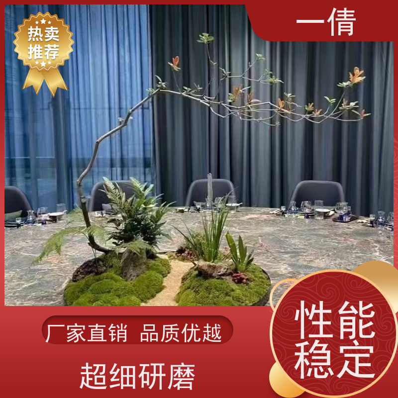 一倩花卉 办公室 富贵竹 室内植物出租 全城配送 上门养护