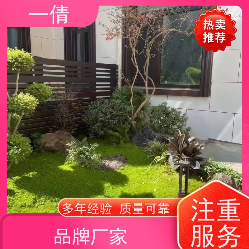 一倩花卉 前台 黄杨 绿植出售 种类繁多 规格齐全