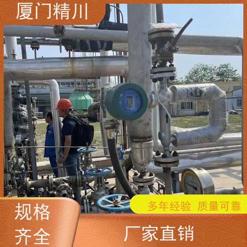 精川股份 锂电行业U型质量流量计 精度0.2级 有保障