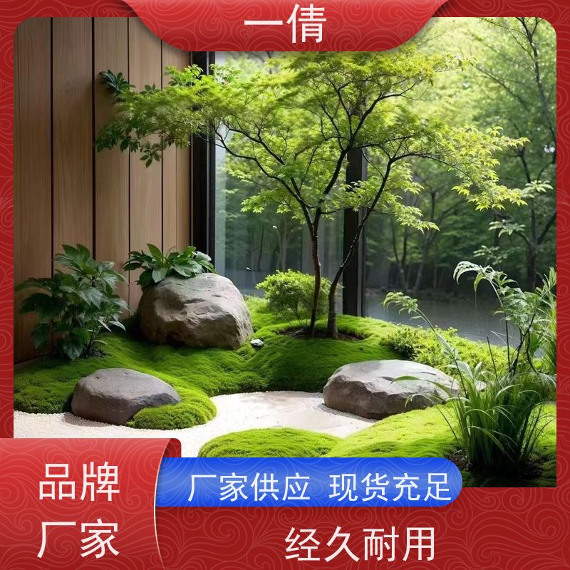 一倩花卉 前台 爱心榕 绿植出售 桌面绿植 花木护理