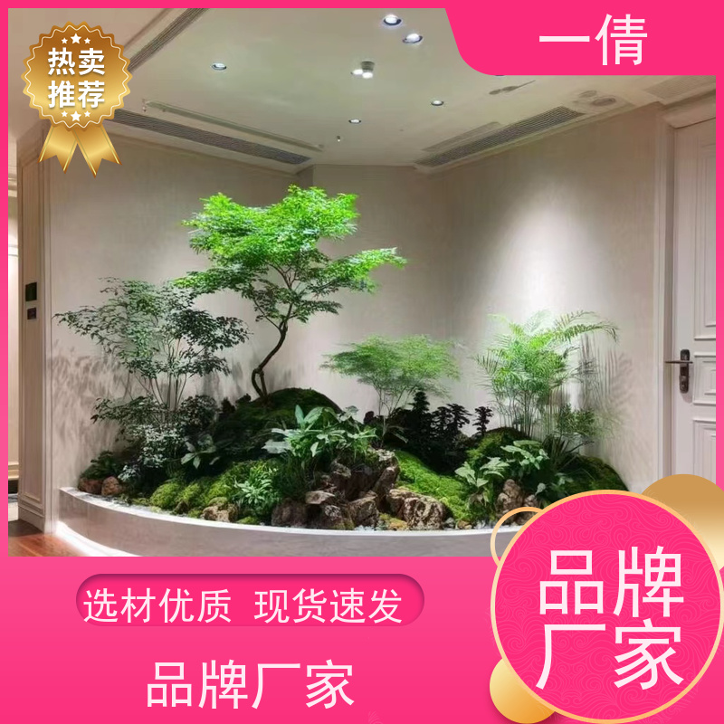 一倩花卉 深圳 满堂红 室内植物出租 桌面绿植 花木护理