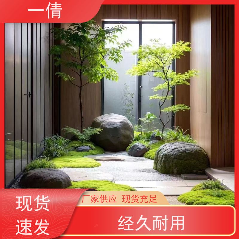 一倩花卉 前台 春雨 绿植租摆 桌面绿植 花木护理
