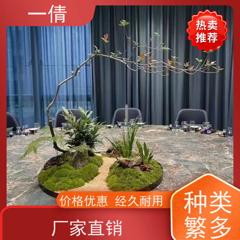 一倩花卉 室内 巴西木 开业花篮租赁 种类繁多 规格齐全