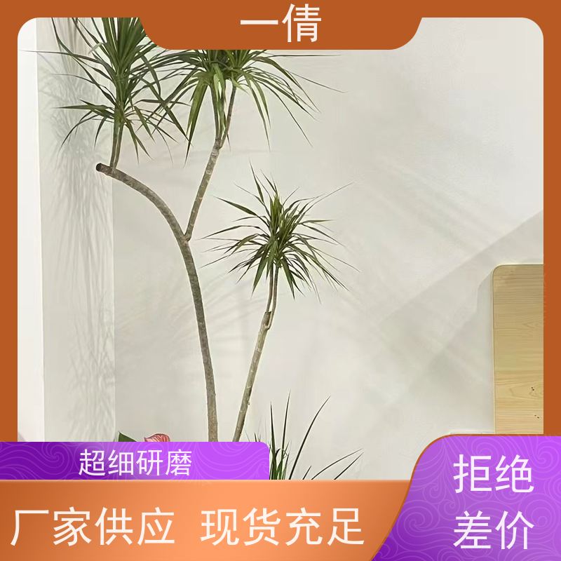 一倩花卉 深圳 墨兰 室内植物出租 种类繁多 规格齐全