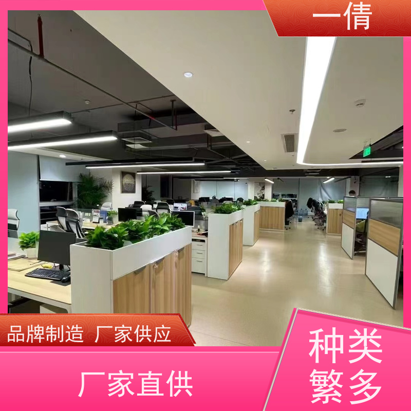 一倩花卉 办公室 蝴蝶兰 花卉租赁 全城配送 上门养护