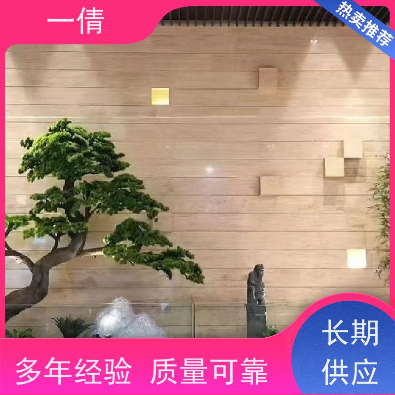一倩花卉 前台 60盆四季桔 绿植租摆 桌面绿植 花木护理