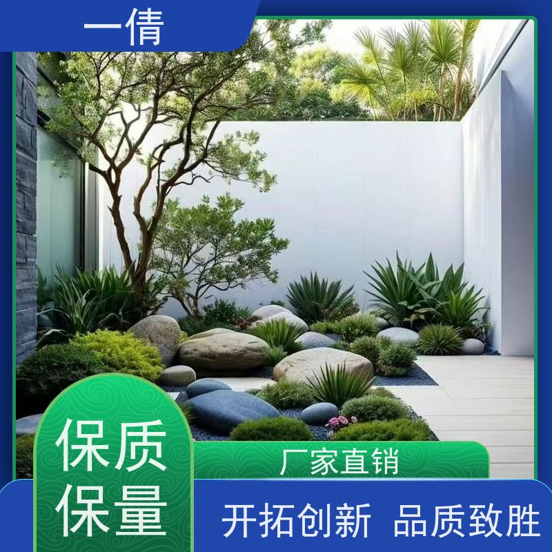 一倩花卉 办公室 砖石翡翠 开业花篮租赁 桌面绿植 花木护理