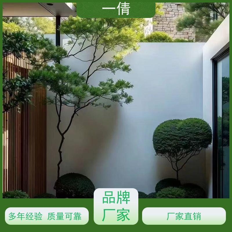 一倩花卉 前台 翡翠 室内植物出租 种类繁多 规格齐全