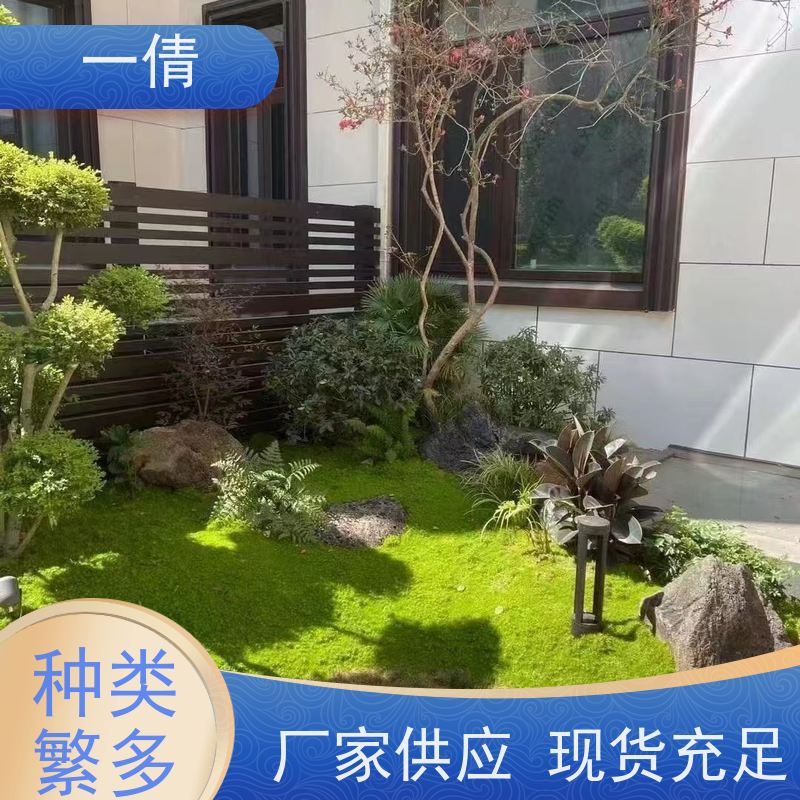 一倩花卉 办公室 吉利红 绿植租赁 种类繁多 规格齐全