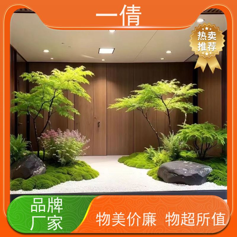 一倩花卉 室内 蝴蝶兰 绿植出售 种类繁多 规格齐全