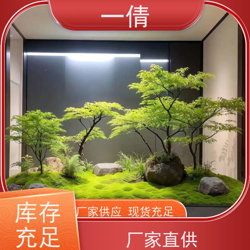 一倩花卉 办公室 罗汉松 绿植租摆 种类繁多 规格齐全