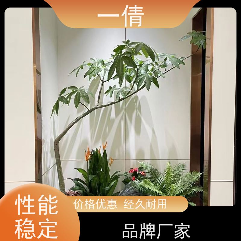 一倩花卉 办公室 雅丽 室内植物出租 桌面绿植 花木护理