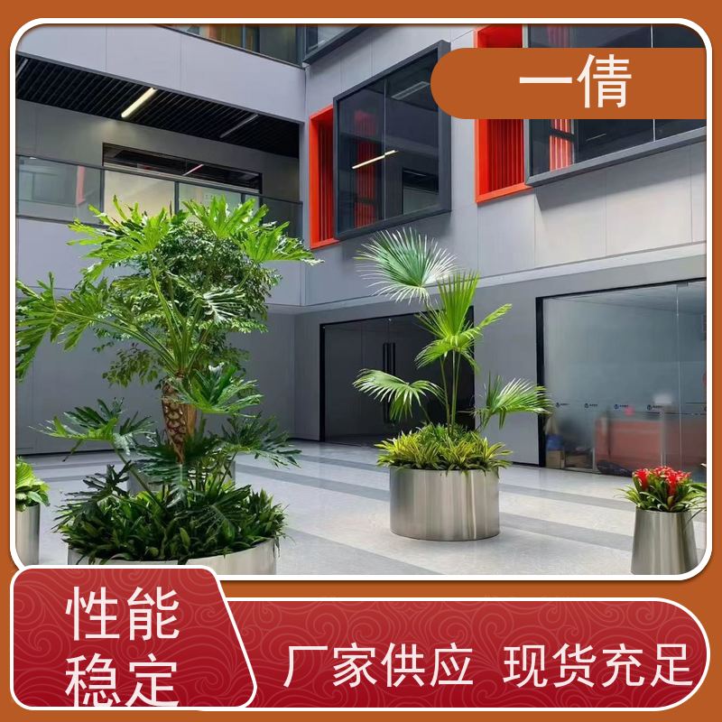 一倩花卉 办公室 紫蝴蝶兰 花卉租赁 桌面绿植 花木护理