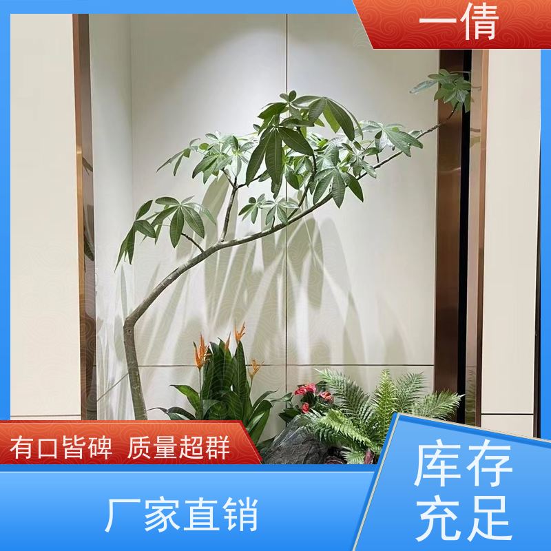 一倩花卉 室内 保罗 绿植租赁 桌面绿植 花木护理
