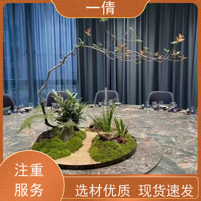 一倩花卉 室内 大慧兰 绿植租摆 桌面绿植 花木护理