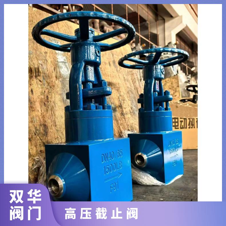双华电站电厂高温高压截止阀J961Y-320V闸阀420V止回阀H64Y-170