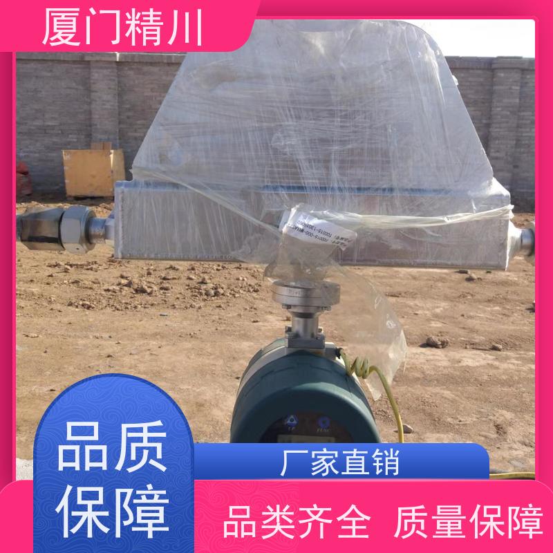 精川 锂电行业小口径质量流量计 支持定制 有保障