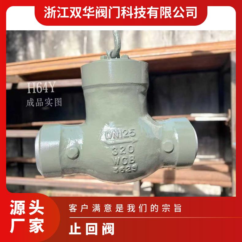 电站止回阀H64Y-200C铸钢高温高压WCB碳钢304不锈钢 双华阀门