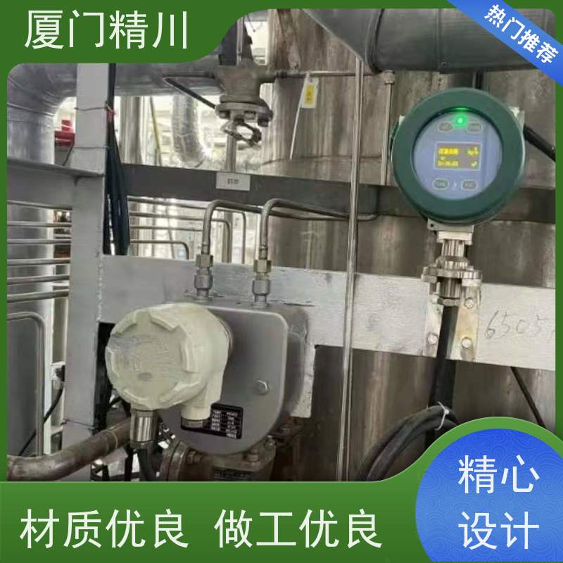 精川股份 食品厂液体质量流量计 精度0.2级 更耐用