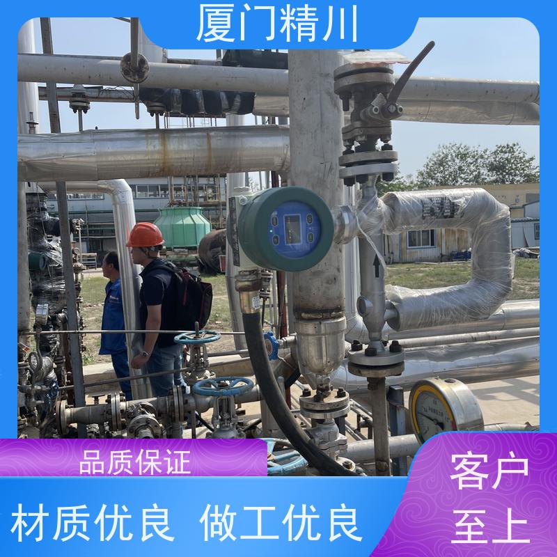 精川股份 食品厂DN1质量流量计 连接方式支持定制 更放心