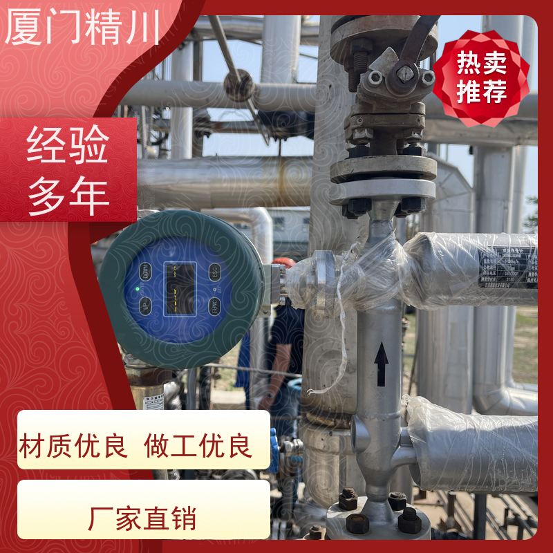 精川股份 高校DN1质量流量计 精度0.2级 有保障