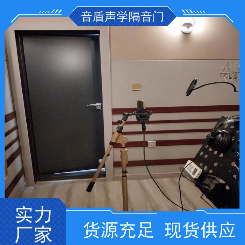 音盾声学 摄影棚 防火隔音门 品质保证 非标定制生产