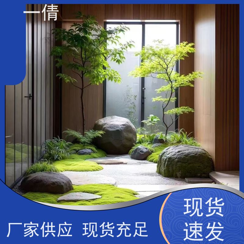 一倩花卉 前台 量天尺 花卉租赁 桌面绿植 花木护理
