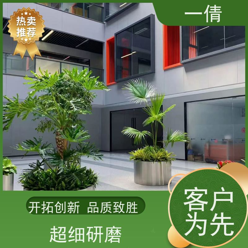一倩花卉 深圳 16寸盆四季桔 室内植物出租 净化空气