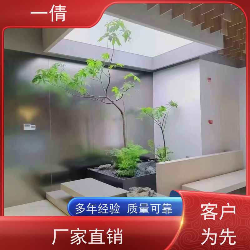 一倩花卉 室内 年桔盆景 开业花篮租赁 全城配送 上门养护