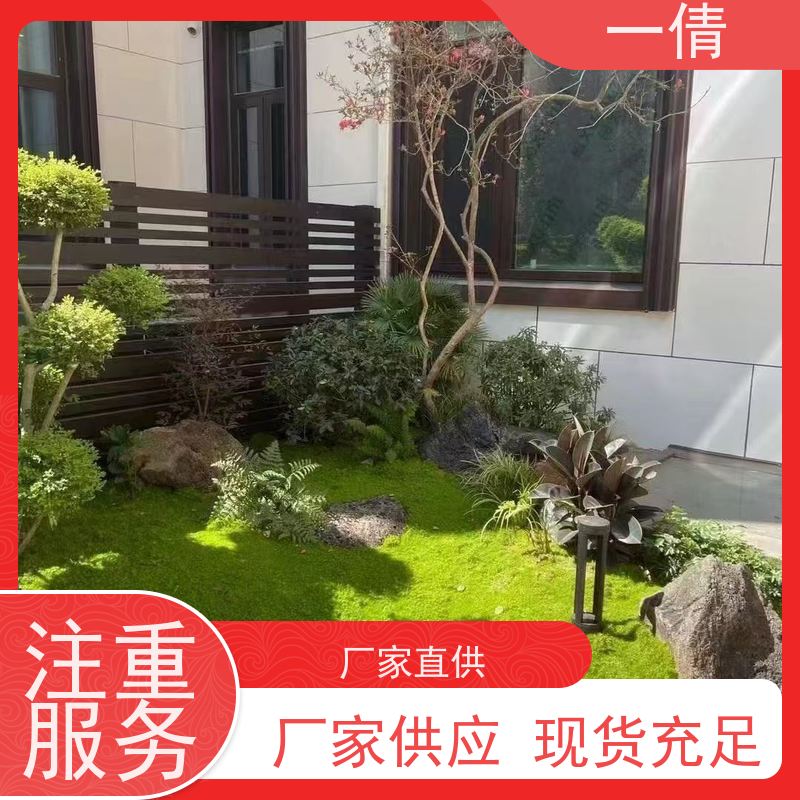 一倩花卉 深圳 蓝宝石 室内植物出租 桌面绿植 花木护理