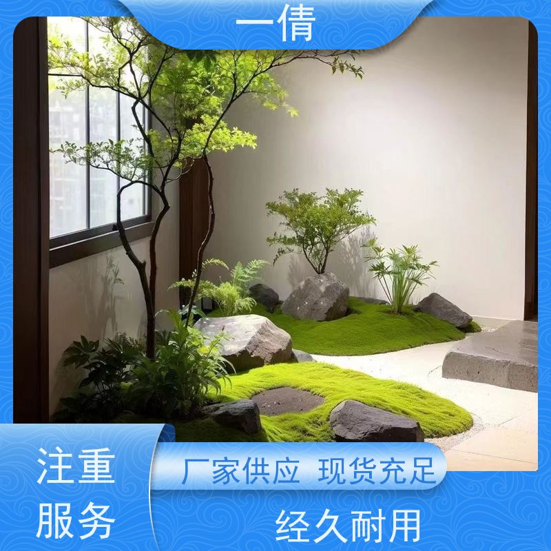 一倩花卉 室内 金心铁 室内植物出租 种类繁多 规格齐全