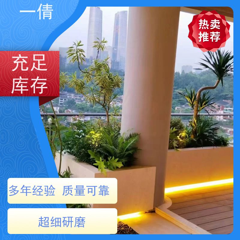一倩花卉 前台 翡翠 绿植租赁 种类繁多 规格齐全