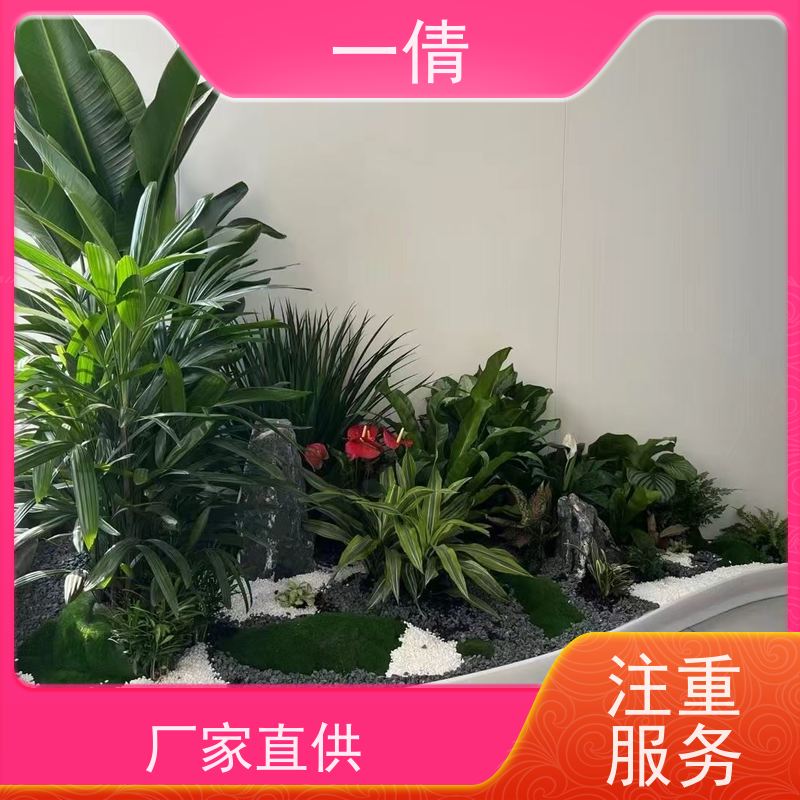 一倩花卉 前台 红酒之恋 绿植租摆 桌面绿植 花木护理