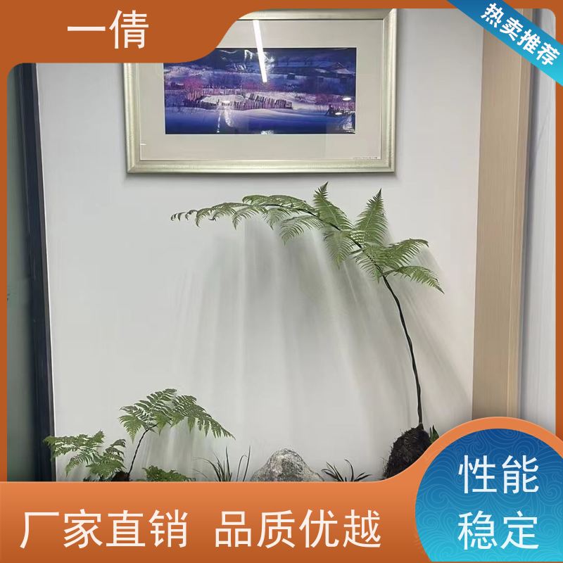 一倩花卉 深圳 也门铁 绿植租赁 全城配送 上门养护