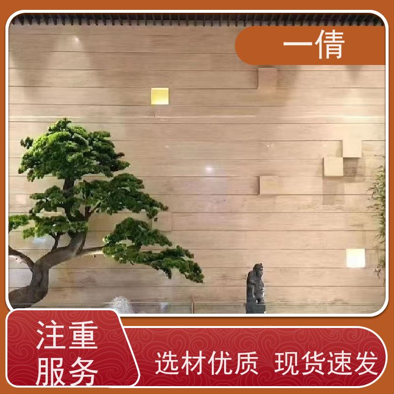 一倩花卉 前台 绿精灵 绿植租摆 桌面绿植 花木护理