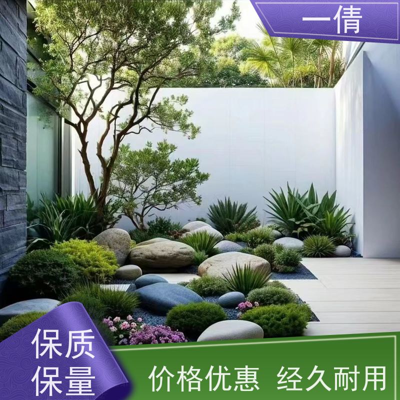 一倩花卉 室内 也门铁 绿植租赁 桌面绿植 花木护理