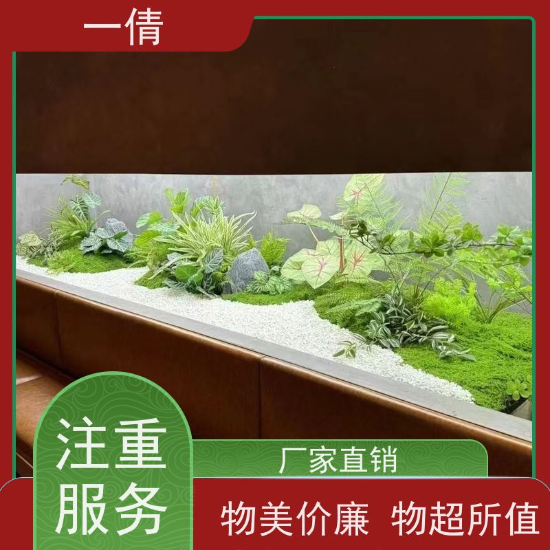 一倩花卉 室内 如意 花卉租赁 全城配送 上门养护
