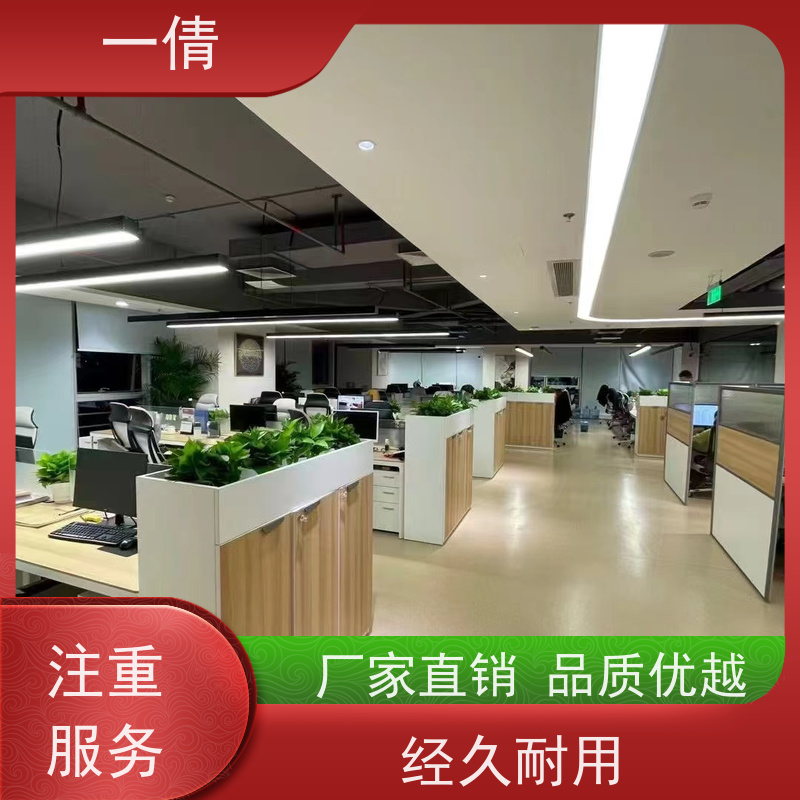 一倩花卉 室内 棕竹 绿植出售 种类繁多 规格齐全