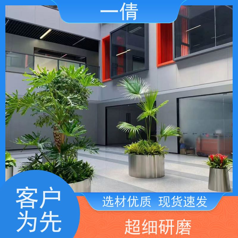 一倩花卉 前台 观音竹 绿植租摆 全城配送 上门养护