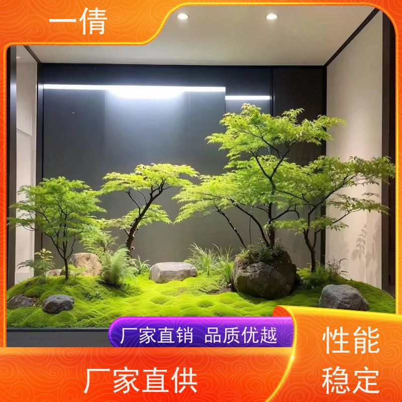 一倩花卉 深圳 桌面盆景 开业花篮租赁 桌面绿植 花木护理