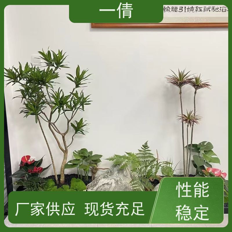 一倩花卉 办公室 红玉珠 花卉租赁 种类繁多 规格齐全
