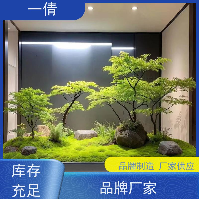 一倩花卉 深圳 紫蝴蝶兰 绿植租赁 全城配送 上门养护