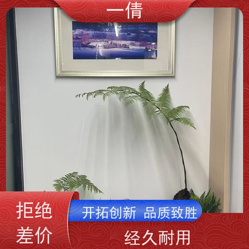 一倩花卉 前台 君子兰 花卉租赁 种类繁多 规格齐全