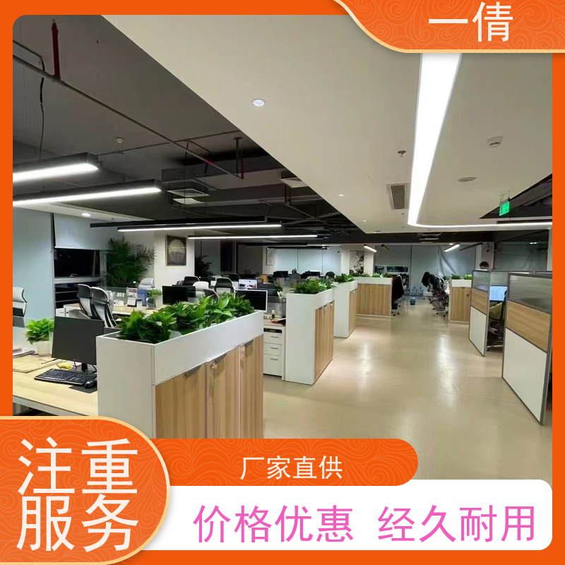 一倩花卉 前台 金钻 绿植租赁 桌面绿植 花木护理