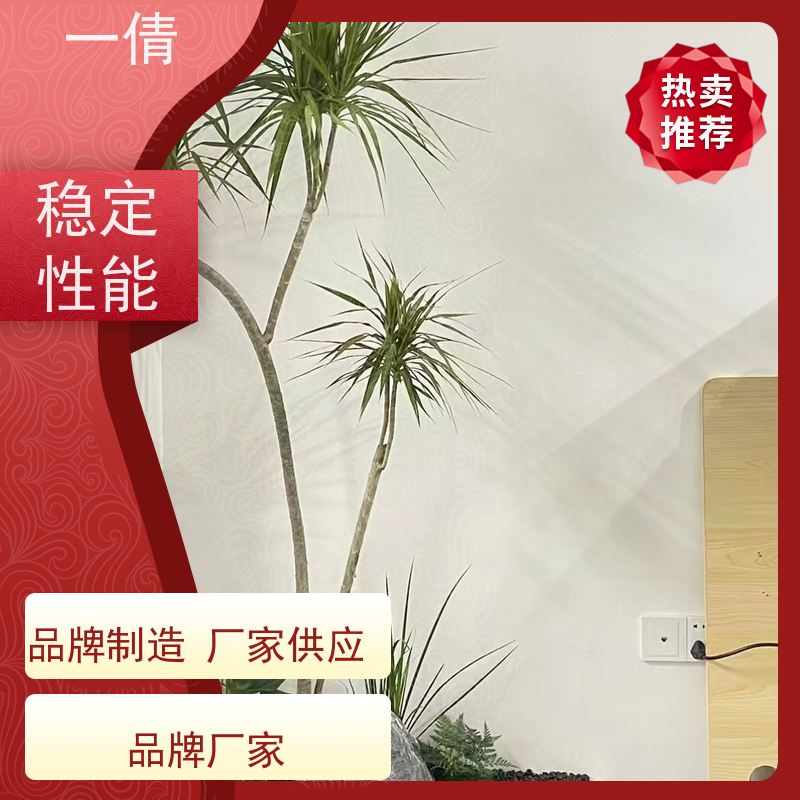 一倩花卉 前台 16寸盆四季桔 绿植出售 全城配送 上门养护
