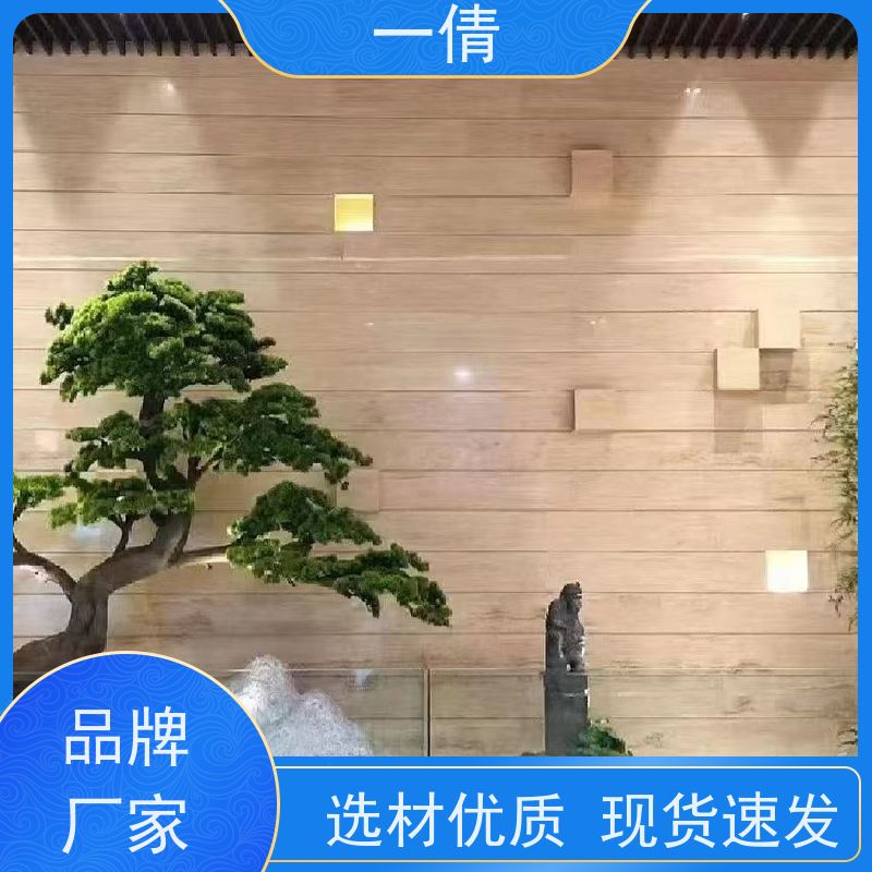 一倩花卉 前台 60盆四季桔 室内植物出租 桌面绿植 花木护理