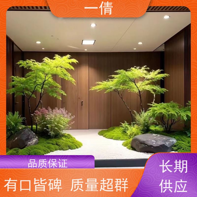 一倩花卉 前台 砖石翡翠 开业花篮租赁 桌面绿植 花木护理